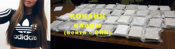 МДПВ Ельня