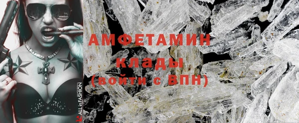 МДПВ Ельня