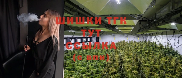 трава Елизово