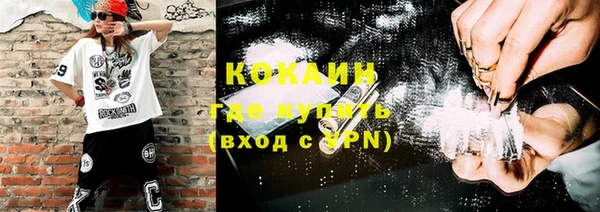 МДПВ Ельня