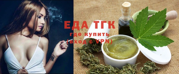 МДПВ Ельня