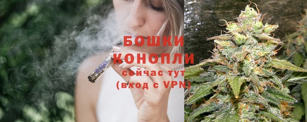 МДПВ Ельня