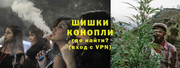 МДПВ Ельня