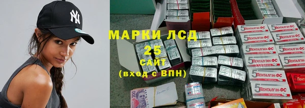 МДПВ Ельня