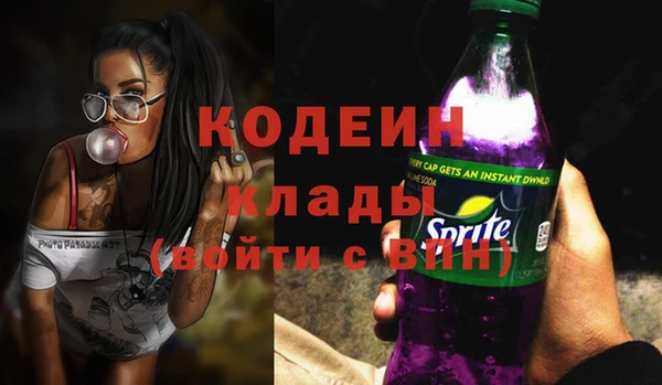 МДПВ Ельня