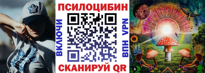 Купить где  Урюпинск  Псилоцибиновые грибы прущие грибы 